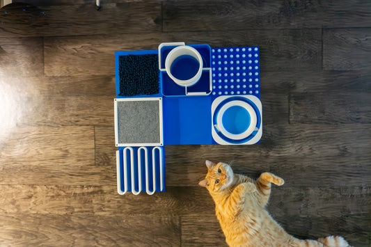 Ultimate Snap-Cat System Bundle