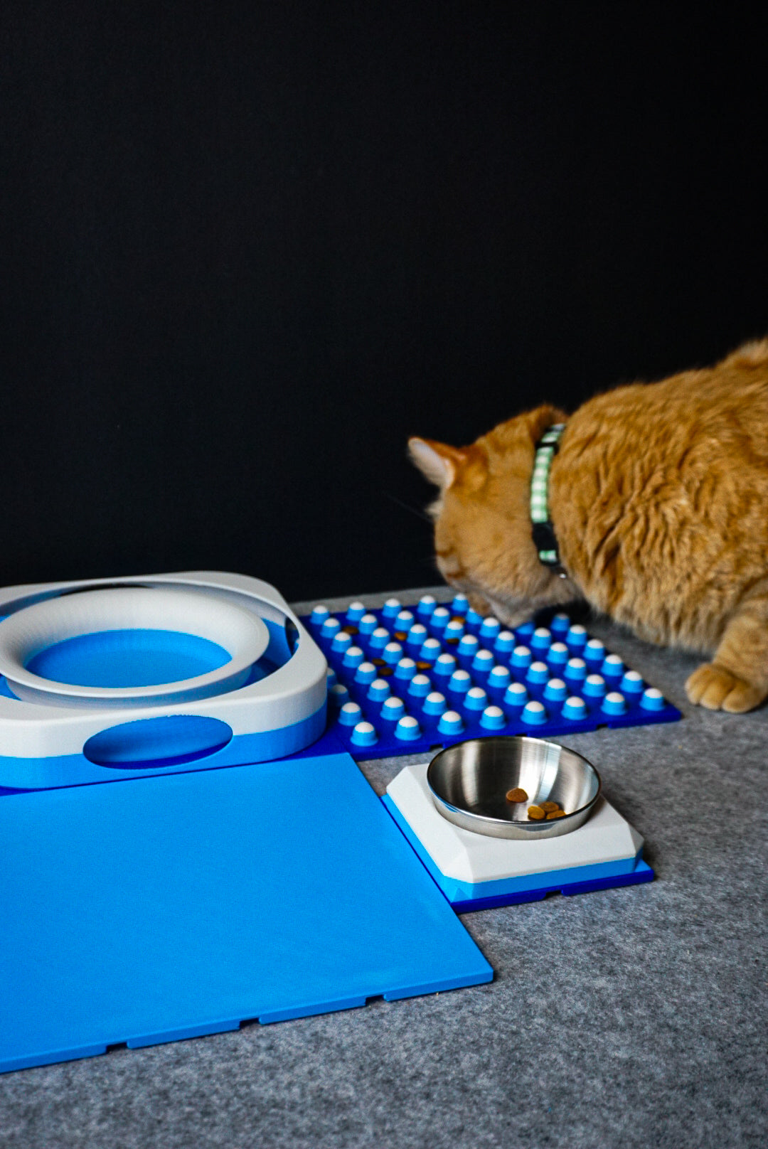 Snap-Cat Kitten Kit