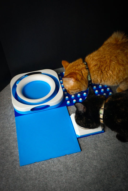 Snap-Cat Kitten Kit