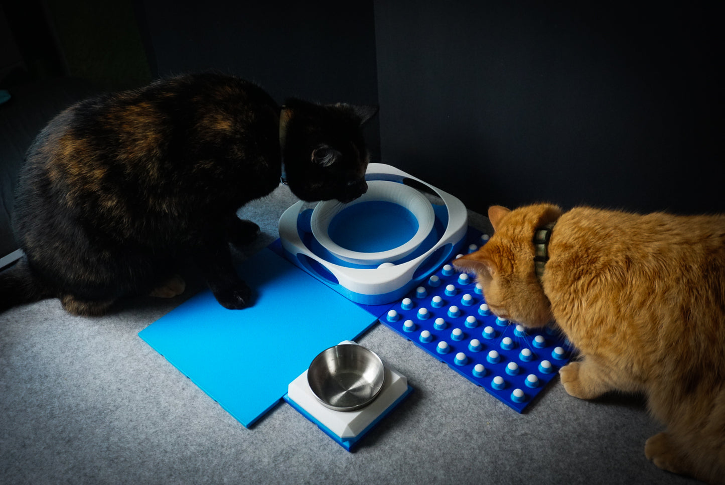 Snap-Cat Kitten Kit