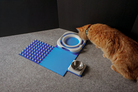 Snap-Cat Kitten Kit