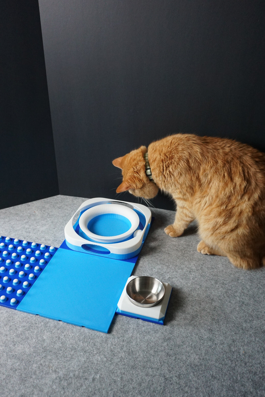 Snap-Cat Kitten Kit