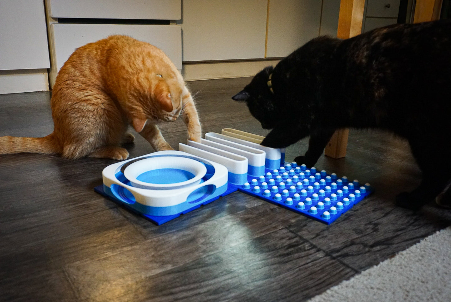 Snap-Cat Starter Kit