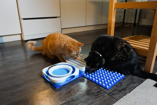 Snap-Cat Starter Kit