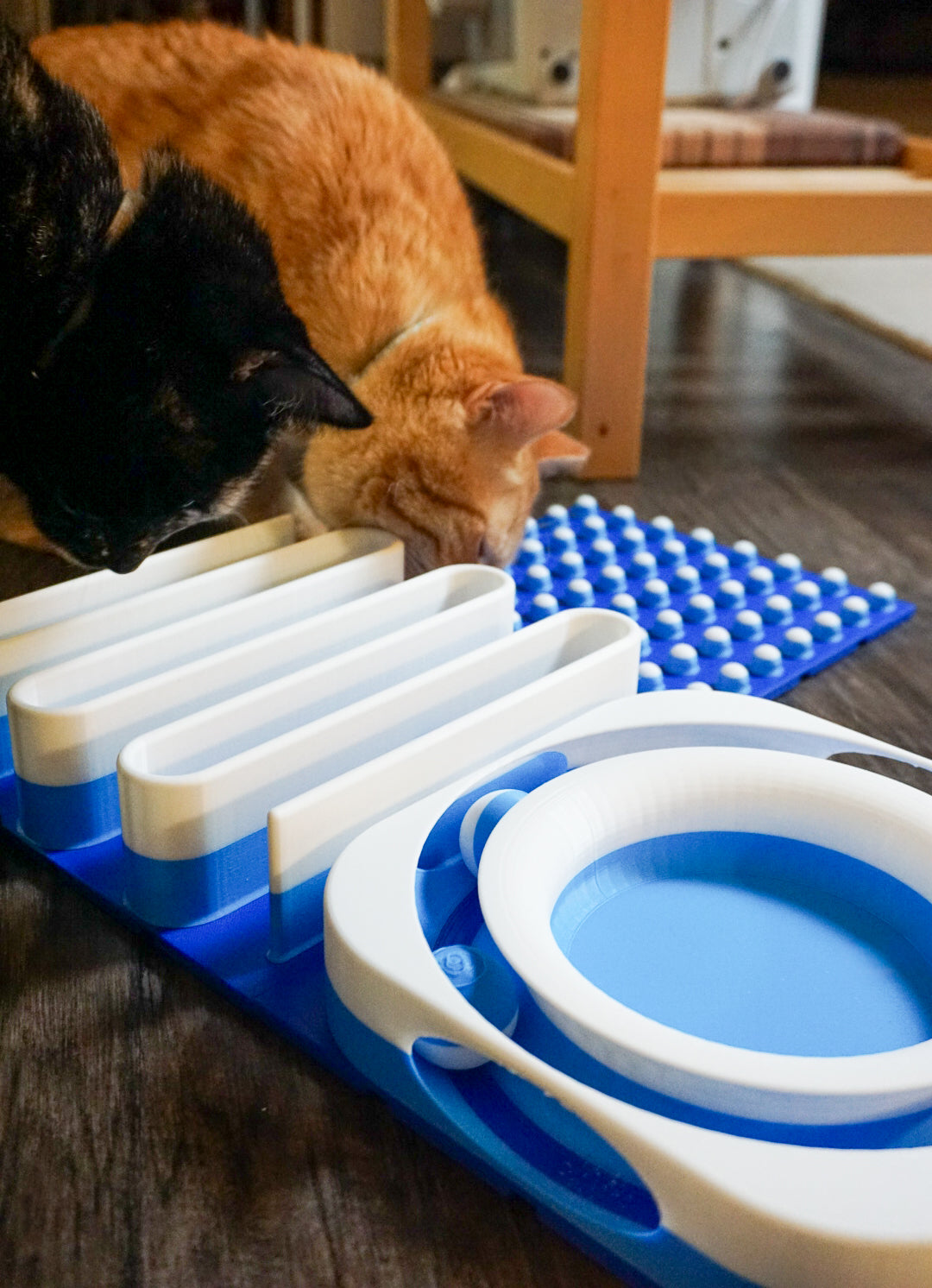 Snap-Cat Starter Kit