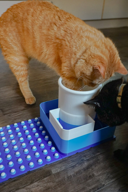 Snap-Cat Foodie Kit