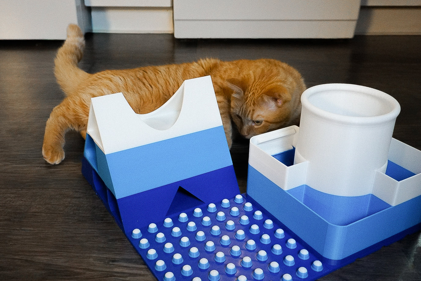 Snap-Cat Foodie Kit