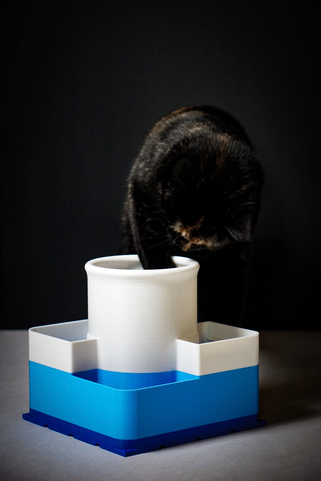 Puzzle Treat Tower - George And Lucky Co