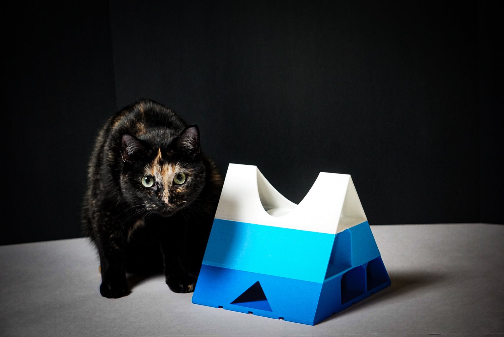 Pyramid of Treats - George And Lucky Co