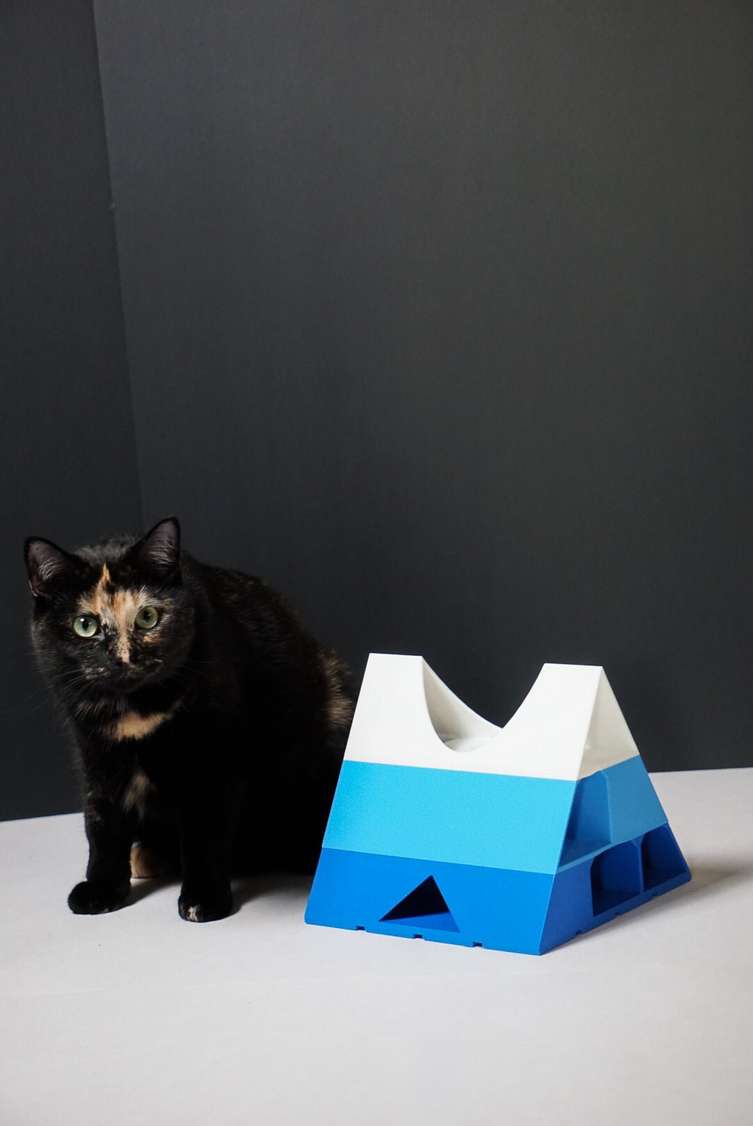 Pyramid of Treats - George And Lucky Co