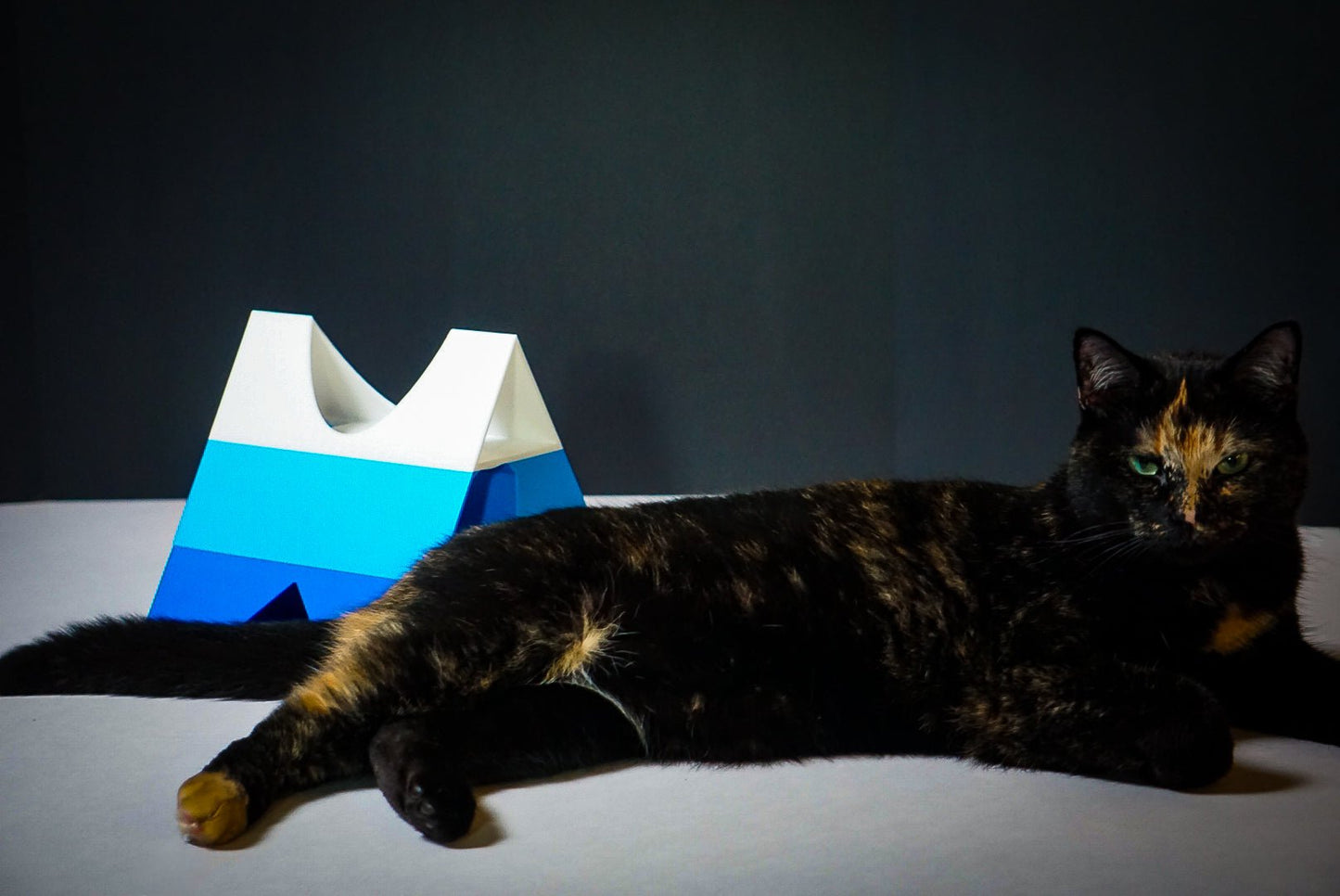 Pyramid of Treats - George And Lucky Co