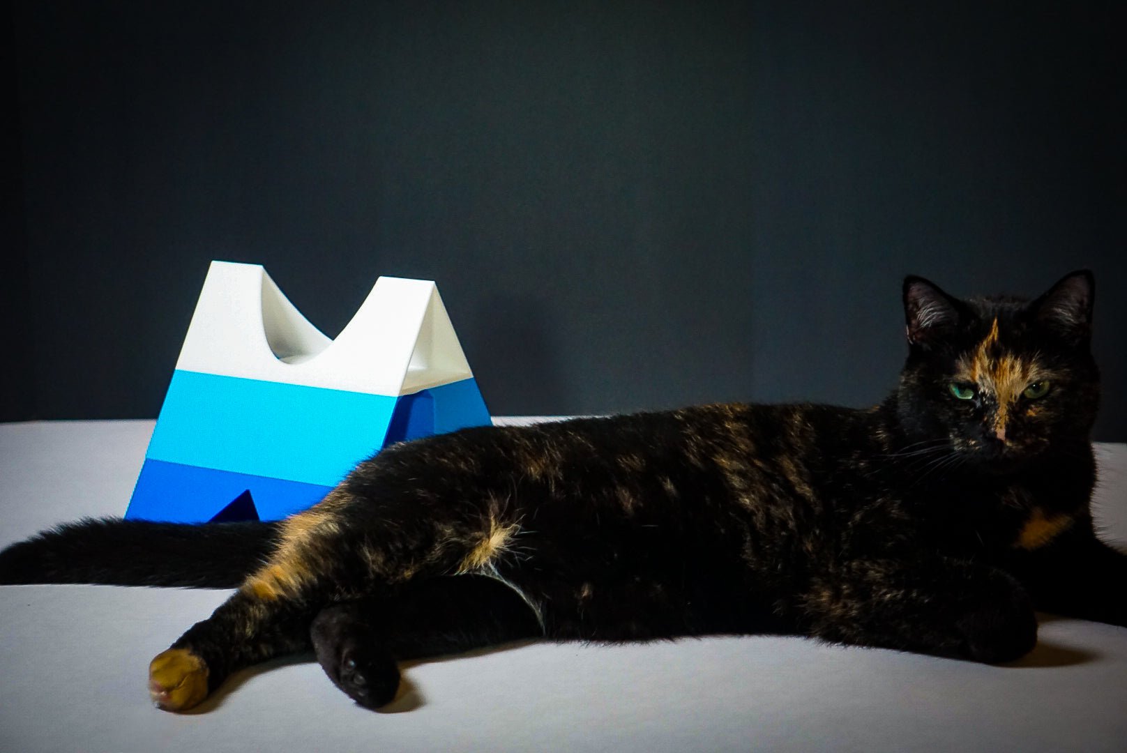 Pyramid of Treats - George And Lucky Co