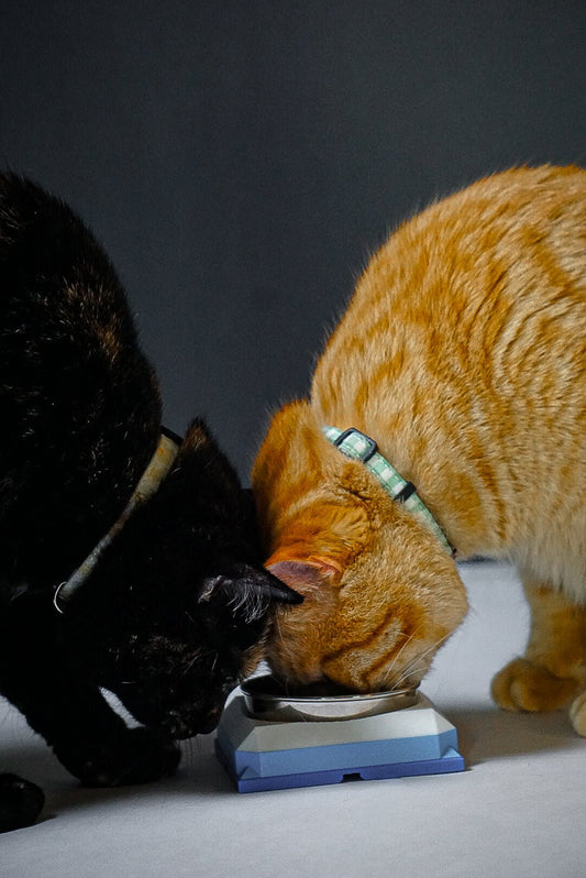Simple Portion-Controlled food bowl - George And Lucky Co