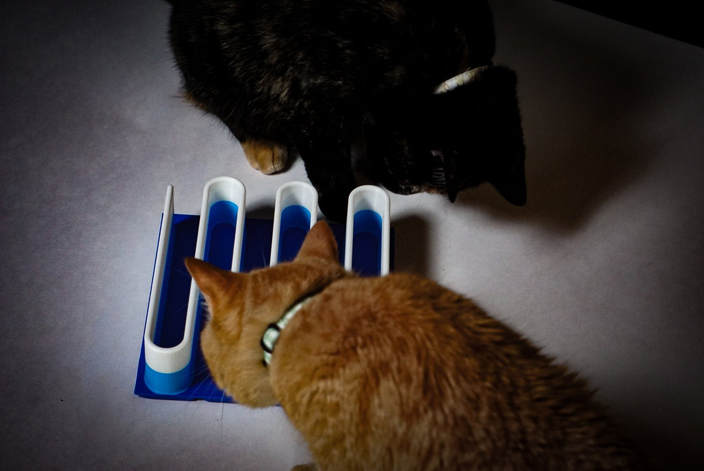 Wiggly Treat Maze - George And Lucky Co