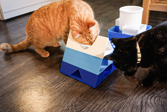 Snap-Cat Foodie Kit