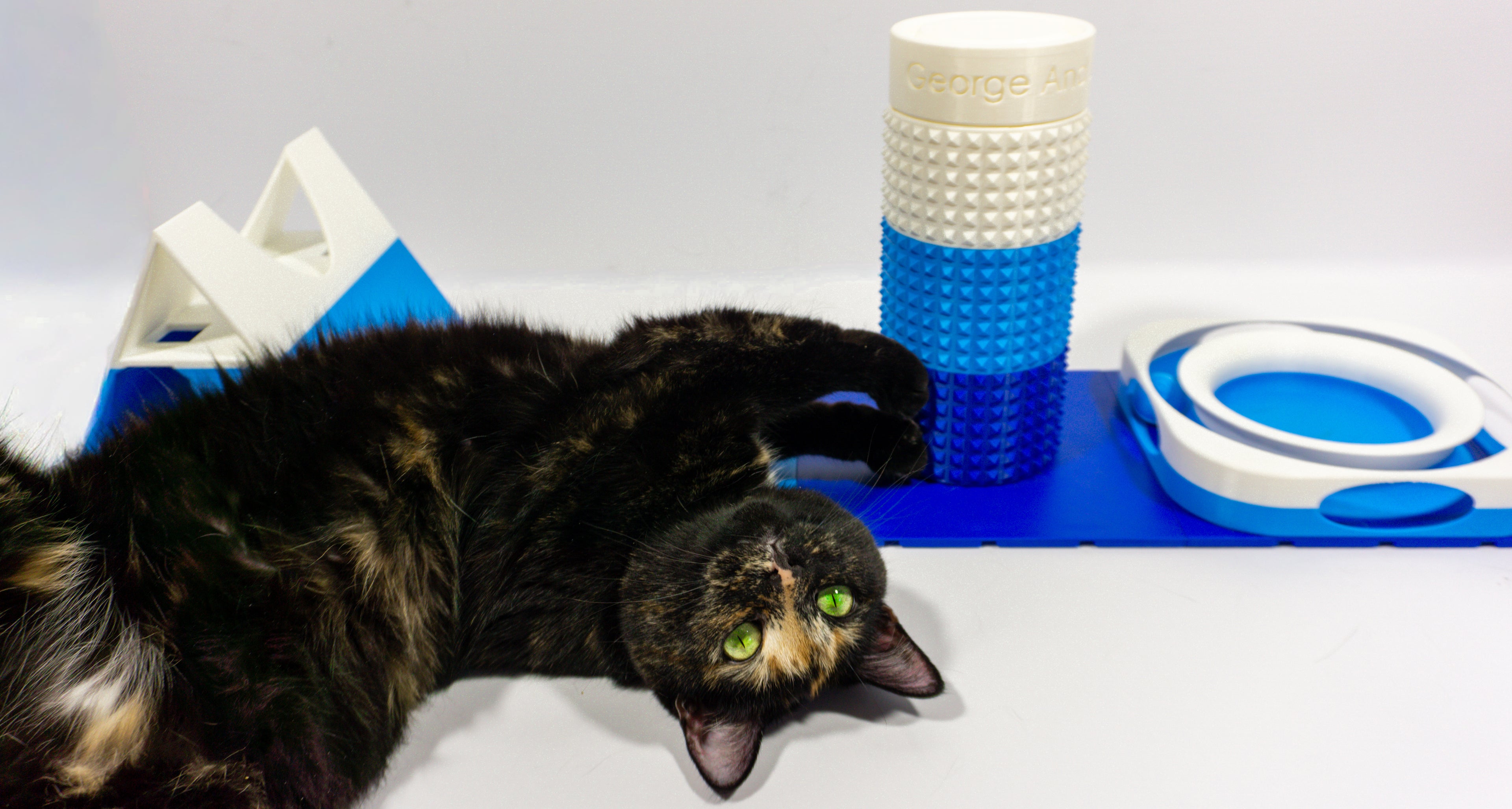 Cat lying on a white surface with a blue and white pet toys in the background.