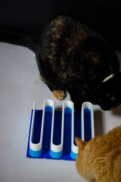 Wiggly Treat Maze - George And Lucky Co