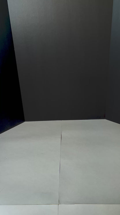 Simple Portion-Controlled food bowl